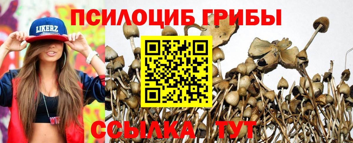 Галлюциногенные грибы GOLDEN TEACHER Коряжма