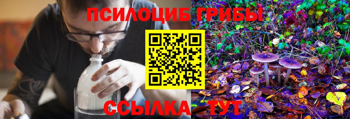 Псилоцибиновые грибы Psilocybe  Вход с VPN  Коряжма 